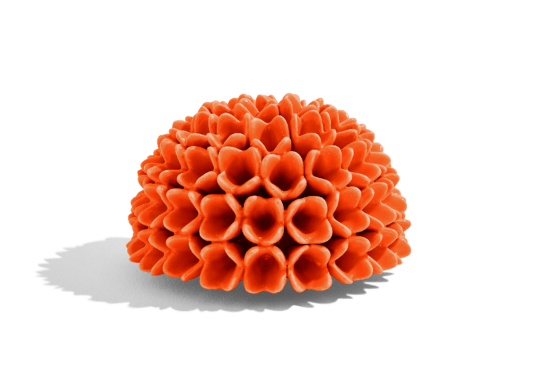 decor-ricciocaprese-anemone-riccio-dalia-produzioneartigianale-capri2-min